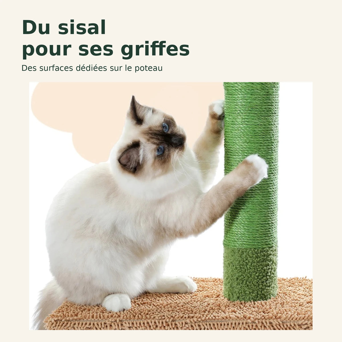 Saguaro — XXL · Vert et marron