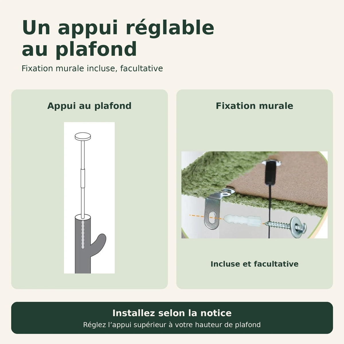 Saguaro — XXL · Vert et marron