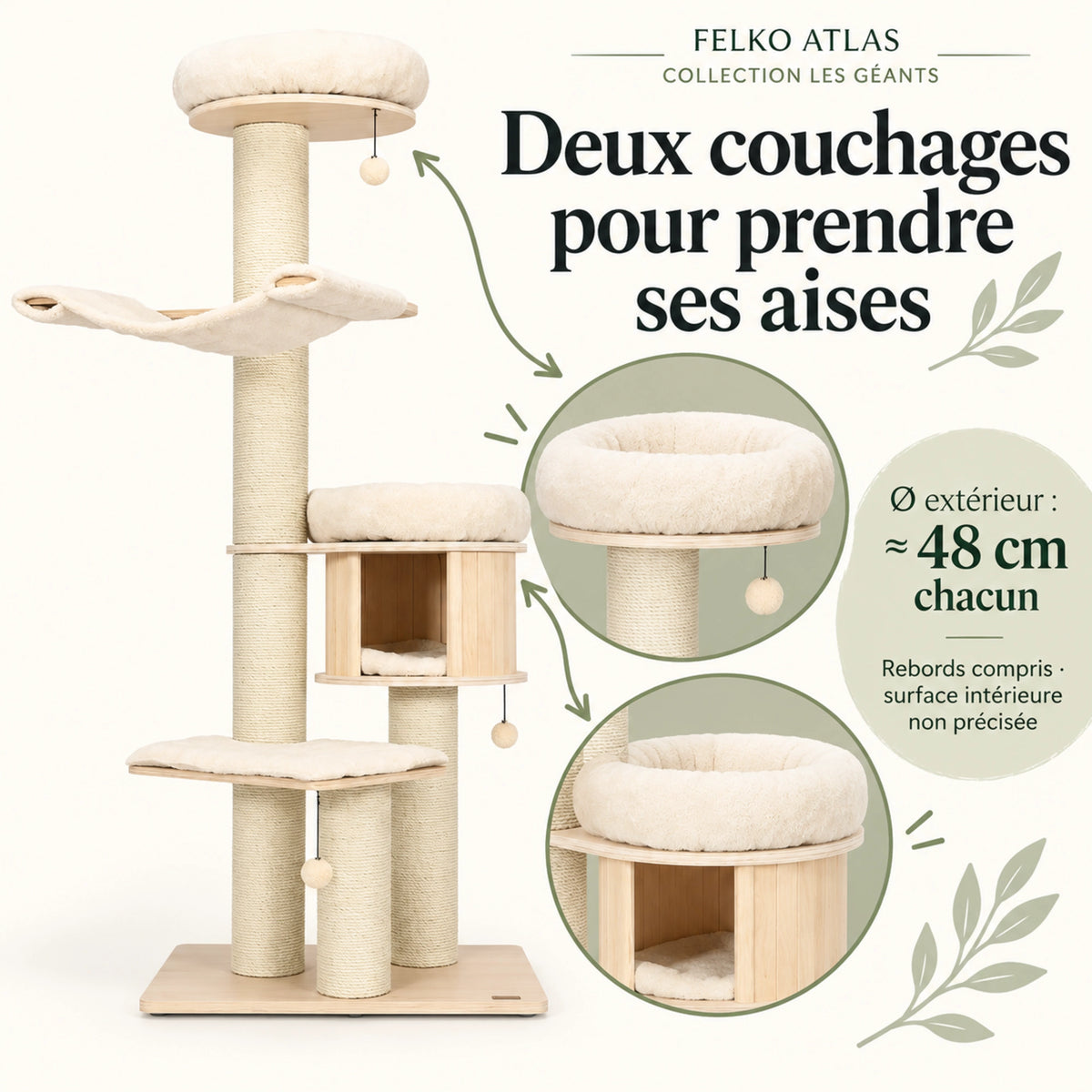 Atlas — XL · Bois naturel & Crème