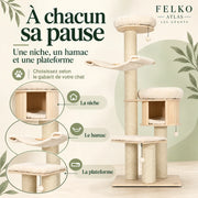 Atlas — XL · Bois naturel & Crème