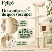 Atlas — XL · Bois naturel & Crème