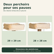 Aulne — XL · Beige