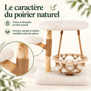 Balancelle — L · Poirier & Ivoire
