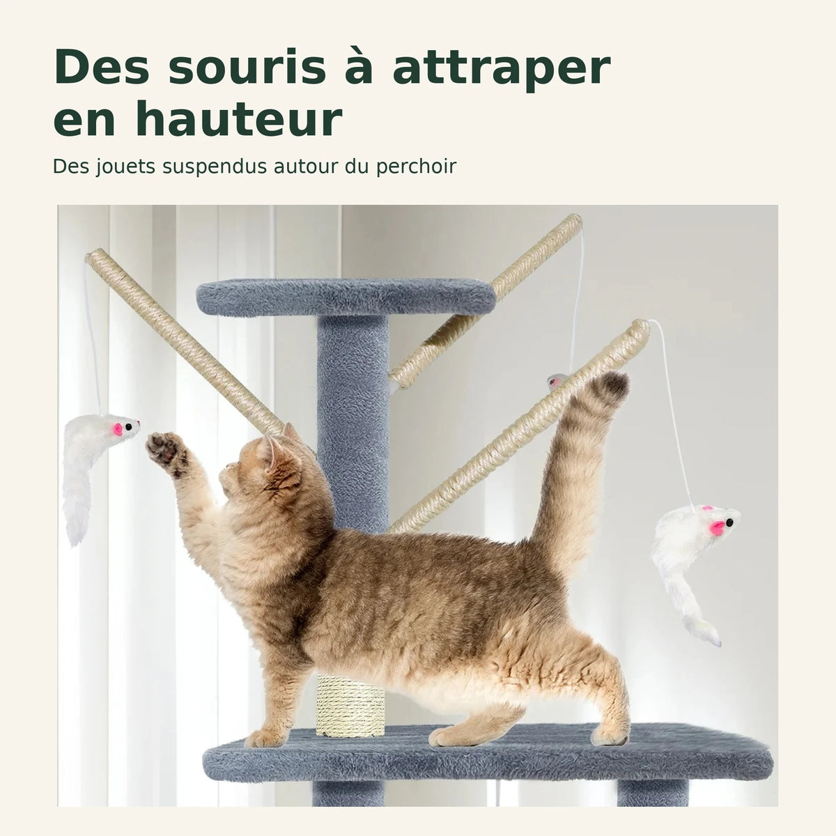 Brume — XL · Gris