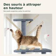 Brume — XL · Gris