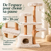 Canopée — XL · Poirier & Ivoire