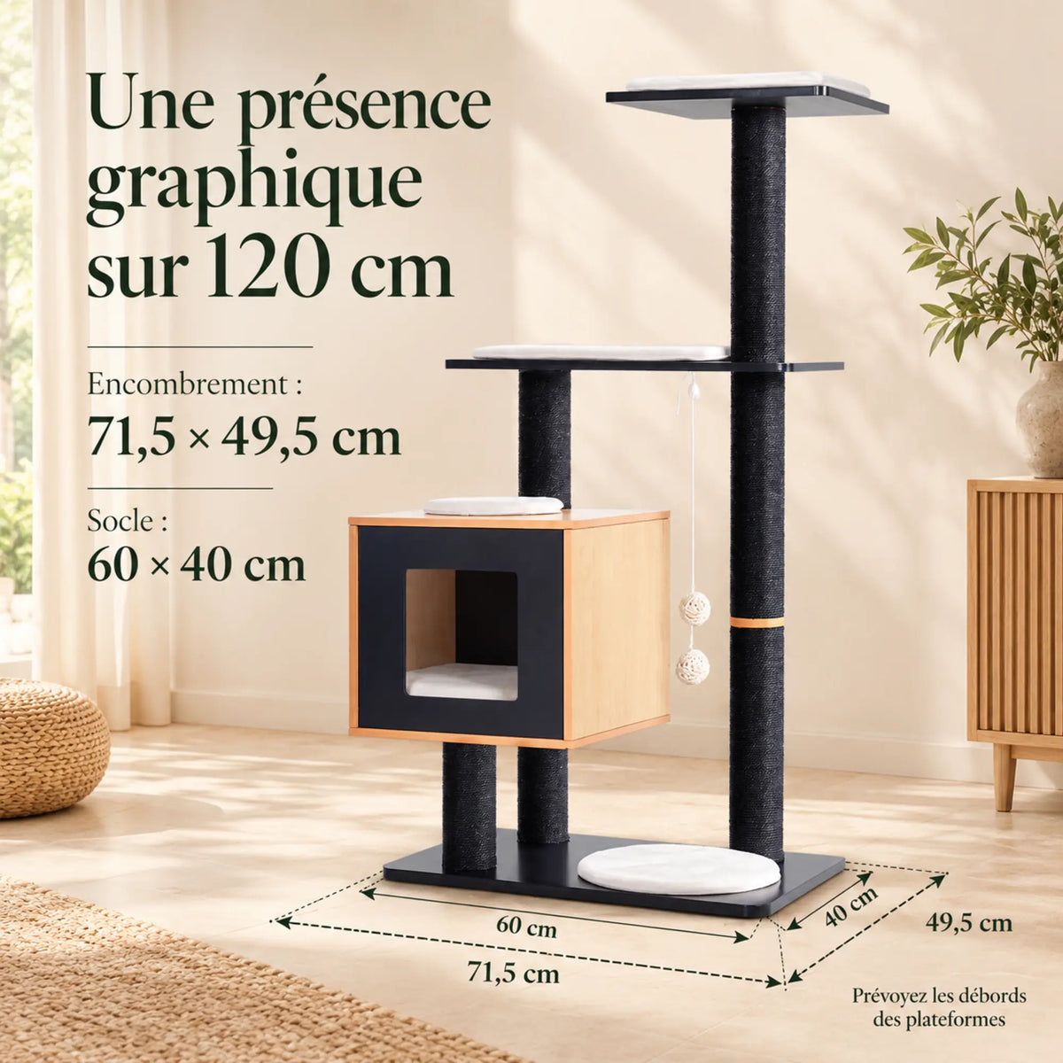 Équinoxe — XL · Noir & Bois clair