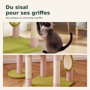 Flora — XL · Rose et vert