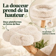 Floréal — L · Poirier & Ivoire