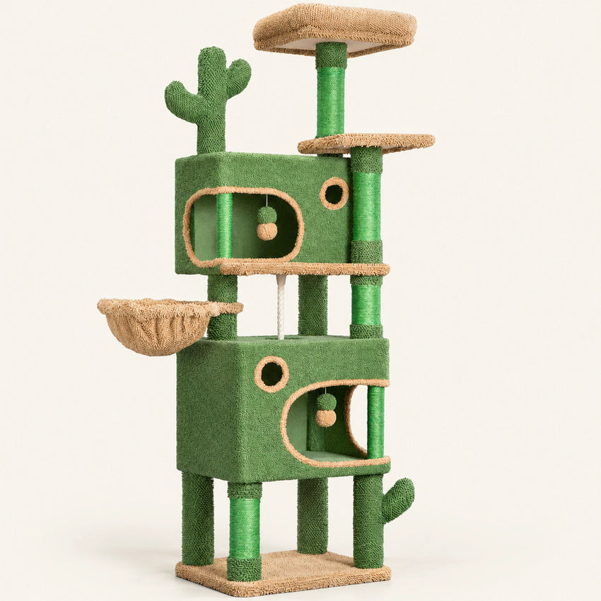 Nopal — XL · Vert et marron