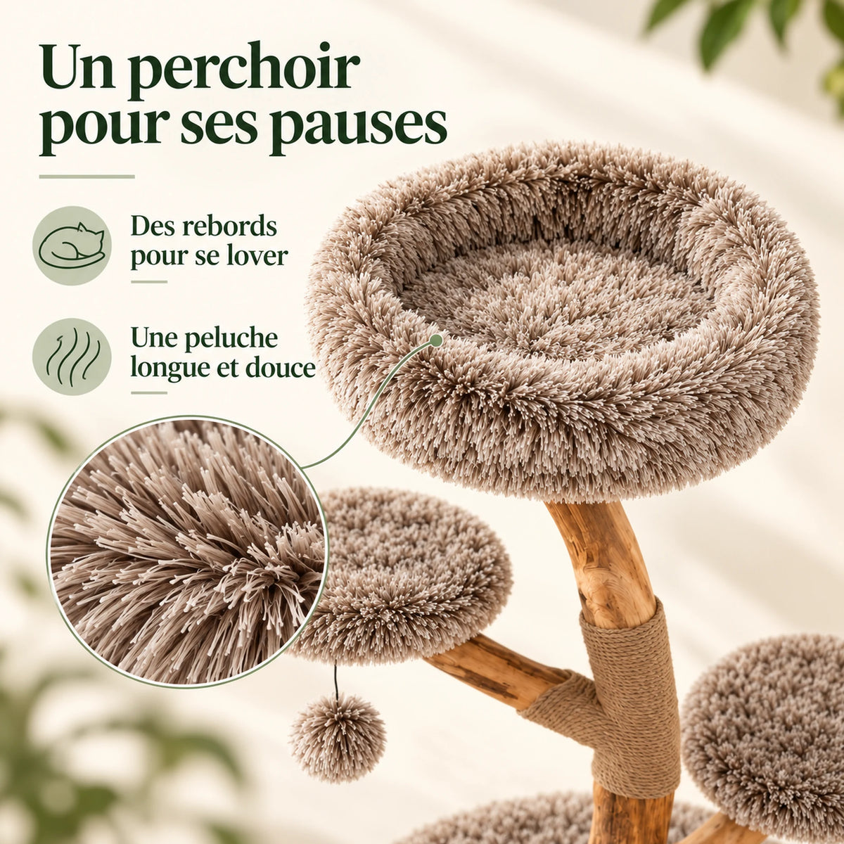 Rameau — L · Poirier & Taupe