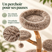 Rameau — L · Poirier & Taupe