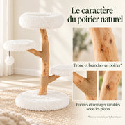 Ramure — L · Poirier & Blanc