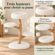Ramure — L · Poirier & Blanc
