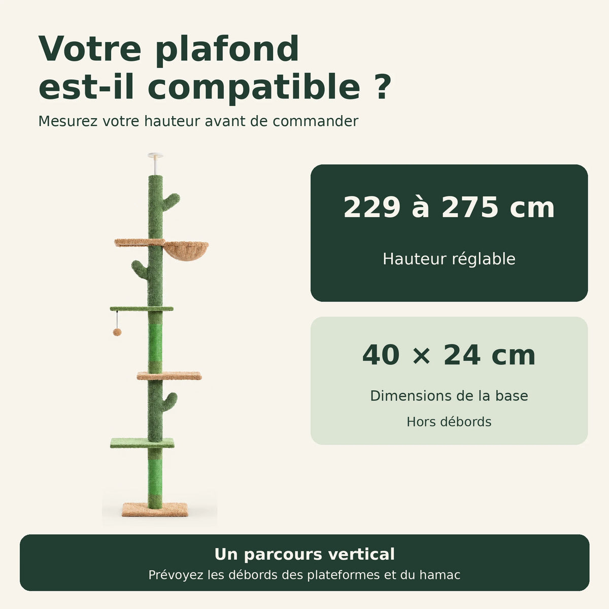 Saguaro — XXL · Vert et marron