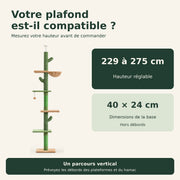 Saguaro — XXL · Vert et marron