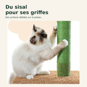 Saguaro — XXL · Vert et marron