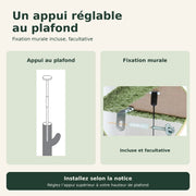 Saguaro — XXL · Vert et marron