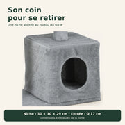 Schiste — L · Gris foncé