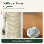Schiste — L · Gris foncé